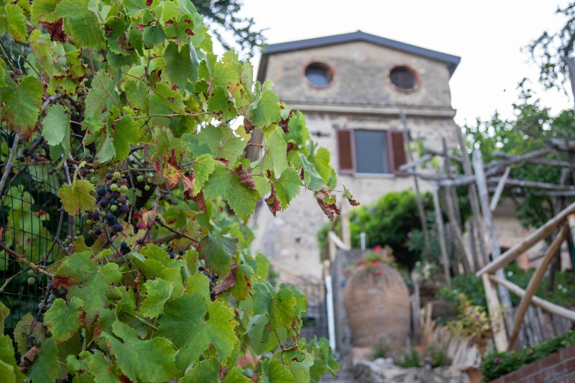 Il Melograno In Costa D'Amalfi - Romantic Experience Vietri sul Mare Exterior photo
